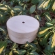 OUTLET Shell container with a hole (dimensions - 10x4.5 cm) - o24/143