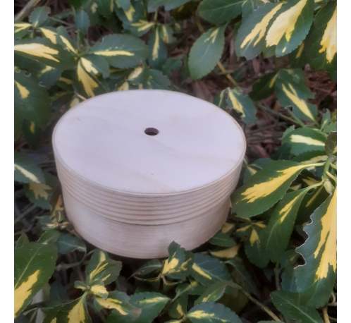 OUTLET Shell container with a hole (dimensions - 10x4.5 cm) - o24/143