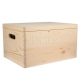 Storage box with lid and handles - big