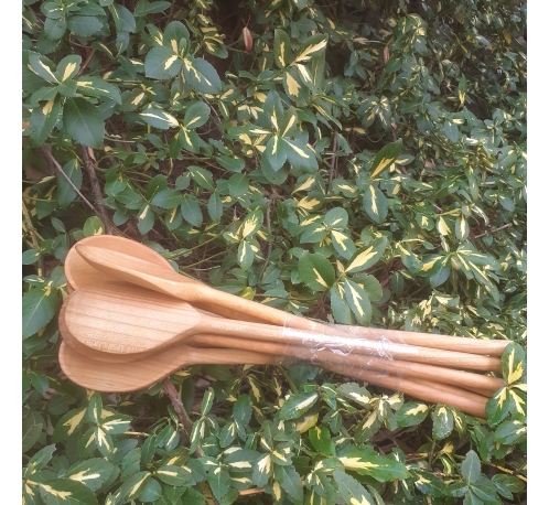 OUTLET Set of oiled spoons